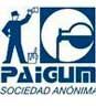 IRIS MULTICOLOR logo Paigum